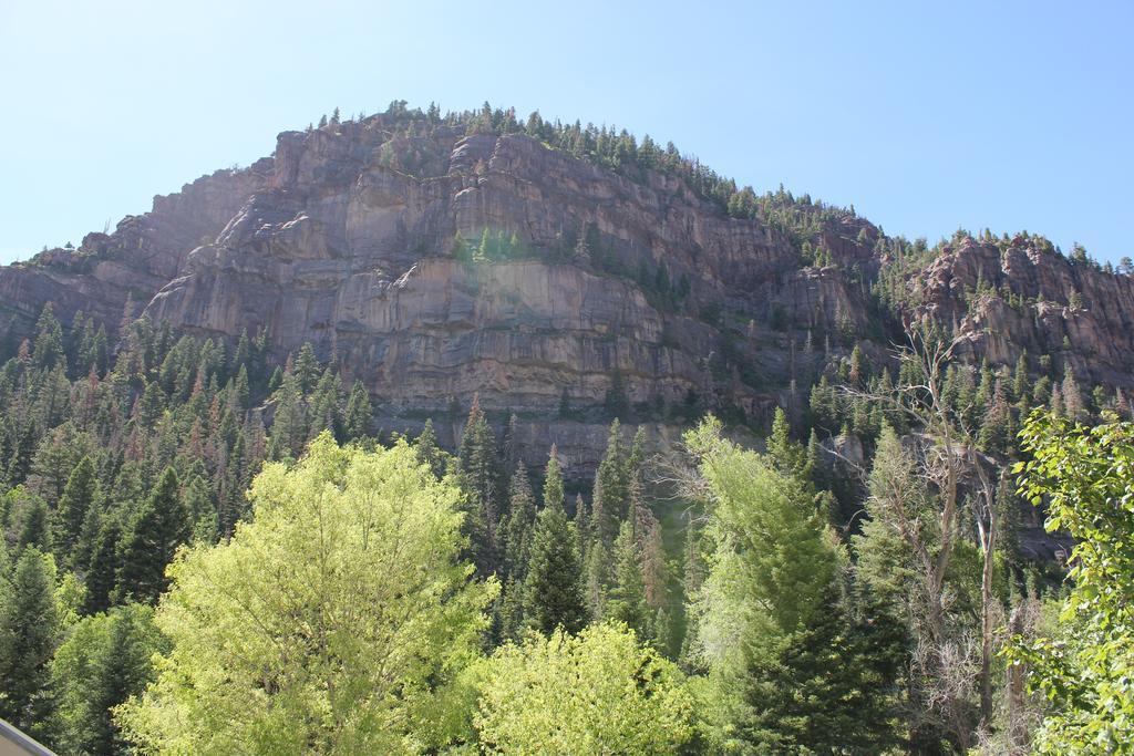 Black Bear Manor Bed & Breakfast Ouray Bagian luar foto